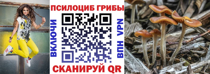 Галлюциногенные грибы Cubensis  Белово 